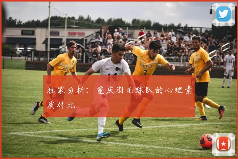 独家分析：重庆羽毛球队的心理素质对比