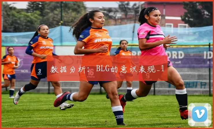 数据分析：BLG的意识表现_1