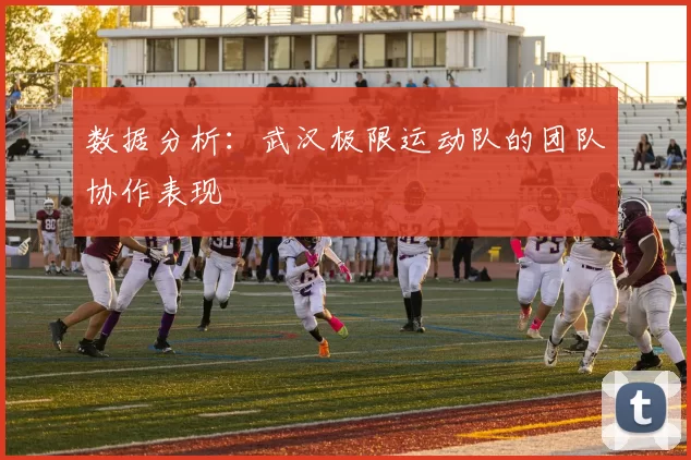 数据分析：武汉极限运动队的团队协作表现