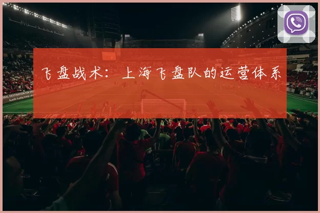 飞盘战术：上海飞盘队的运营体系