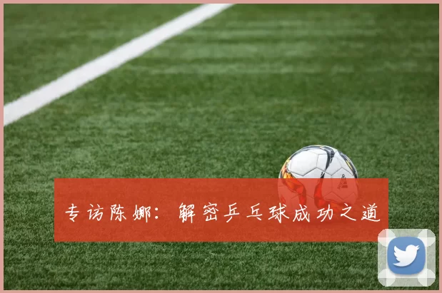 专访陈娜：解密乒乓球成功之道