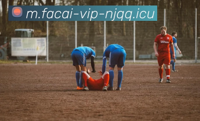 星空体育APP 高清赛事图